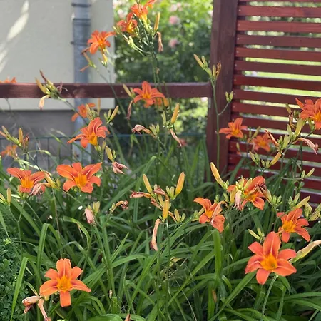 公寓 Ferienwohnung Neustrelitz *